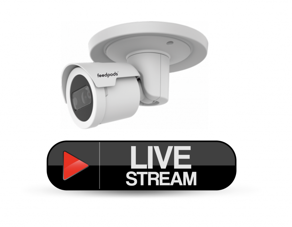 feedpods Habitat Monitoring with Night Vision and more...... Feedpods