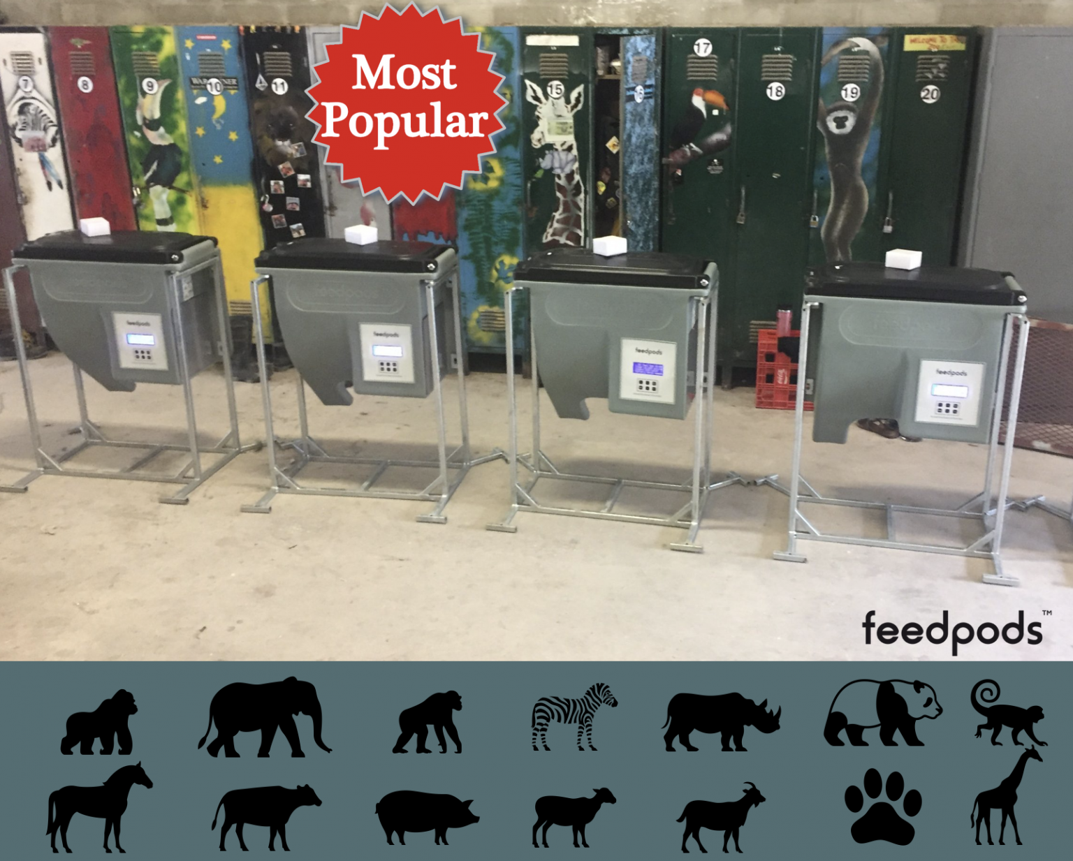 feedpods 3rd generation automatic feeder Feedpods Automatic feeder